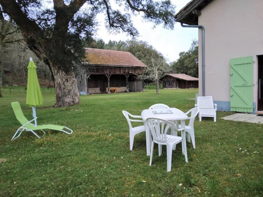Le Petit Frouas Sud Apartment Vielle-Saint-Girons Exterior photo